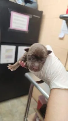 Murphy thumbnail 2