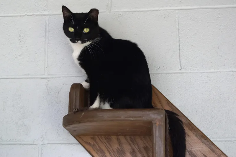 Francesca thumbnail 3