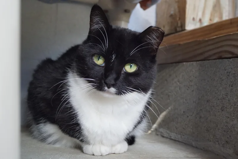 Francesca thumbnail 5