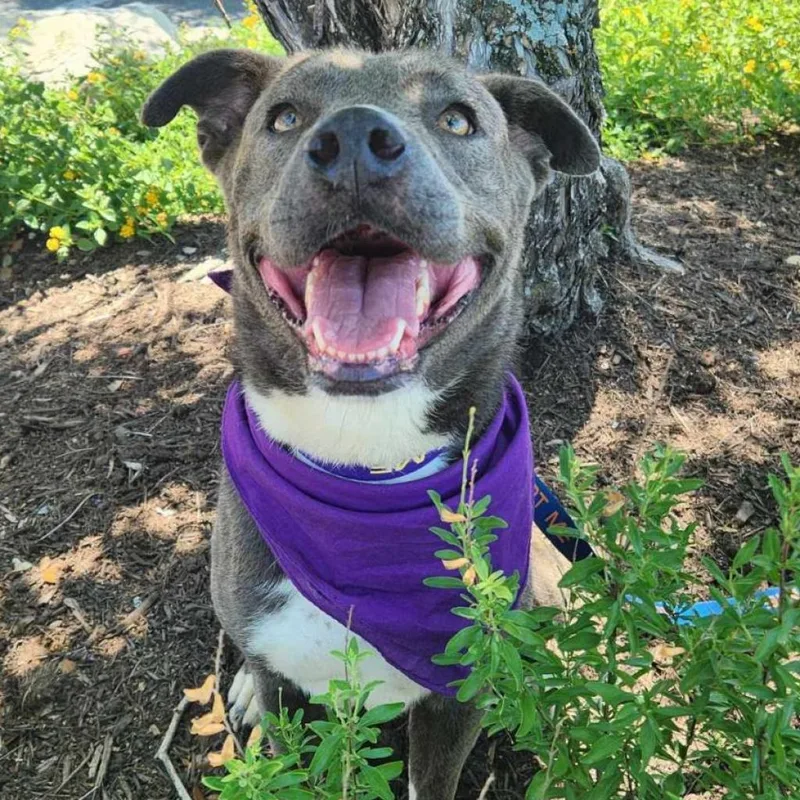 Maxine Jum thumbnail 6