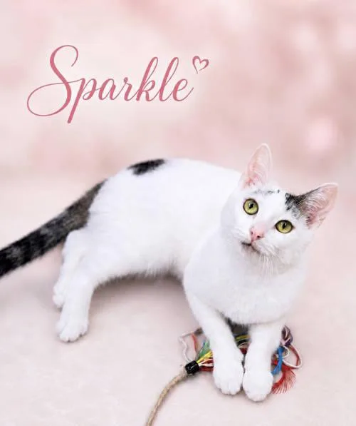Sparkle