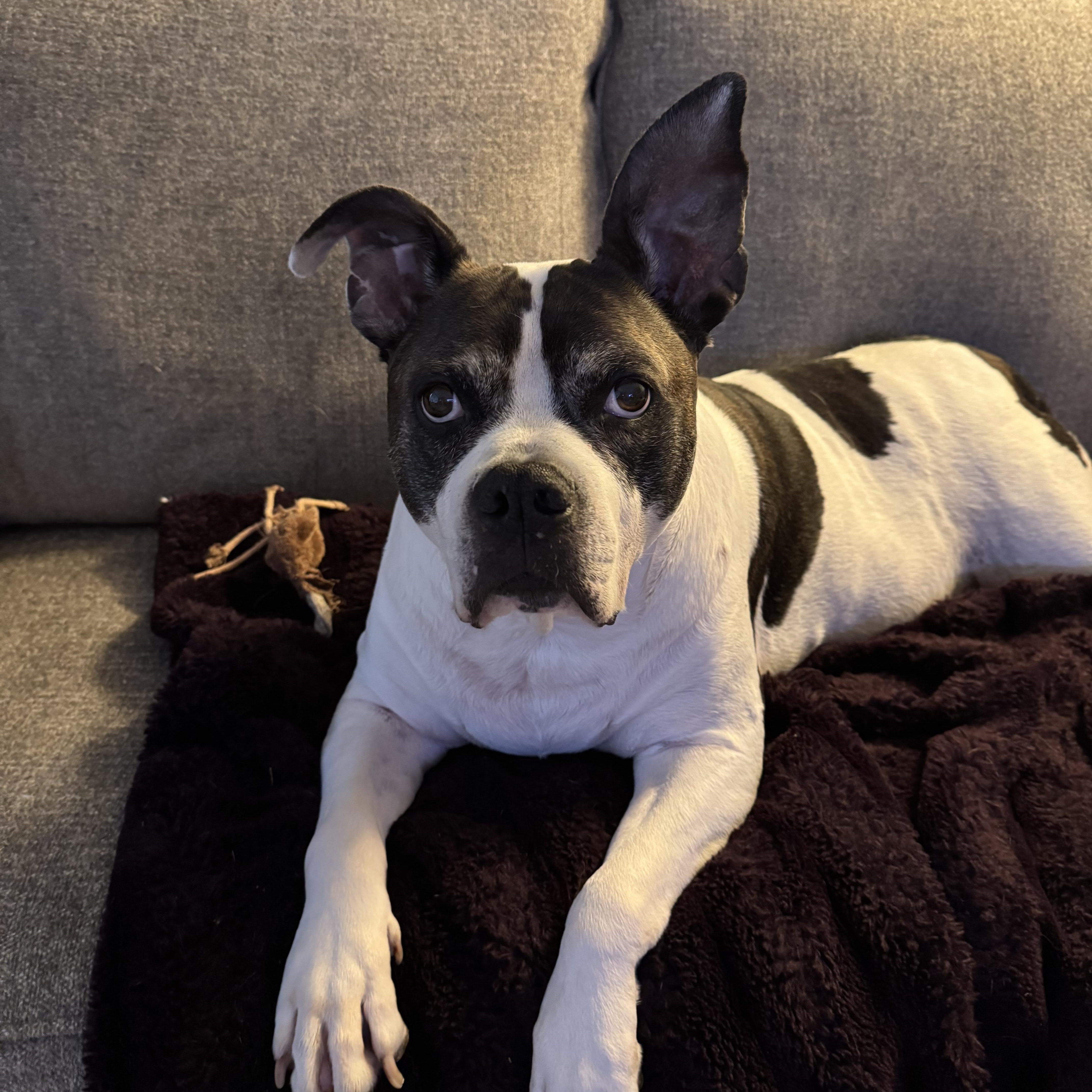Courtesy Listing Lucky