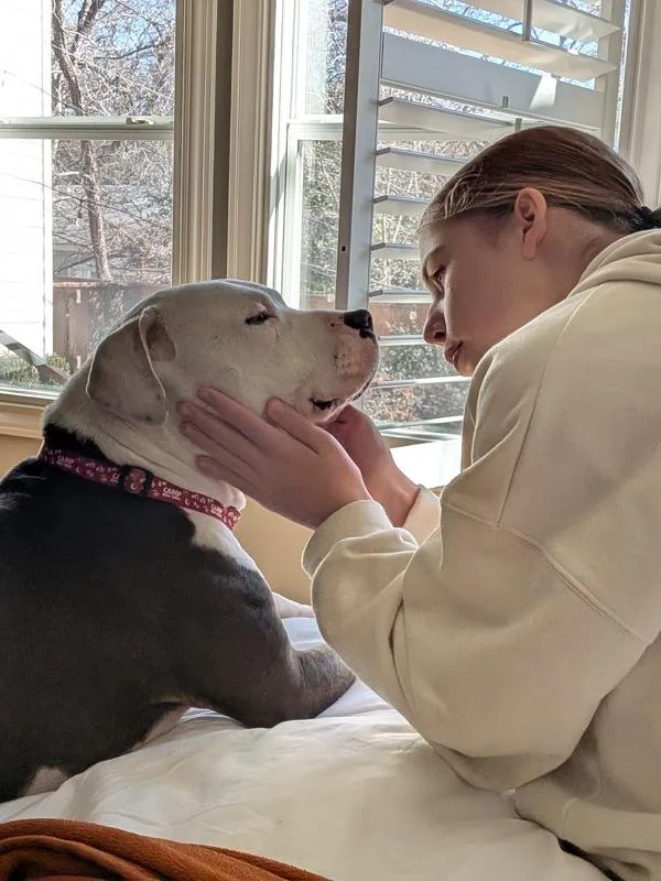 Evermore thumbnail 2