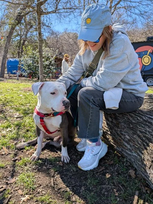 Evermore thumbnail 6