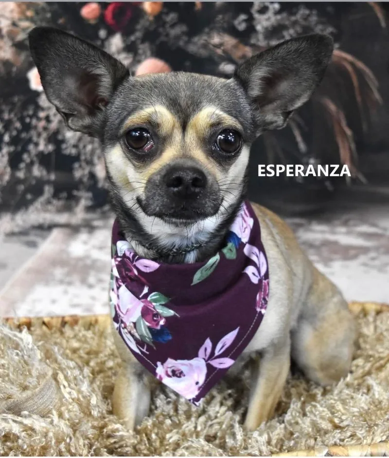 Esperanza
