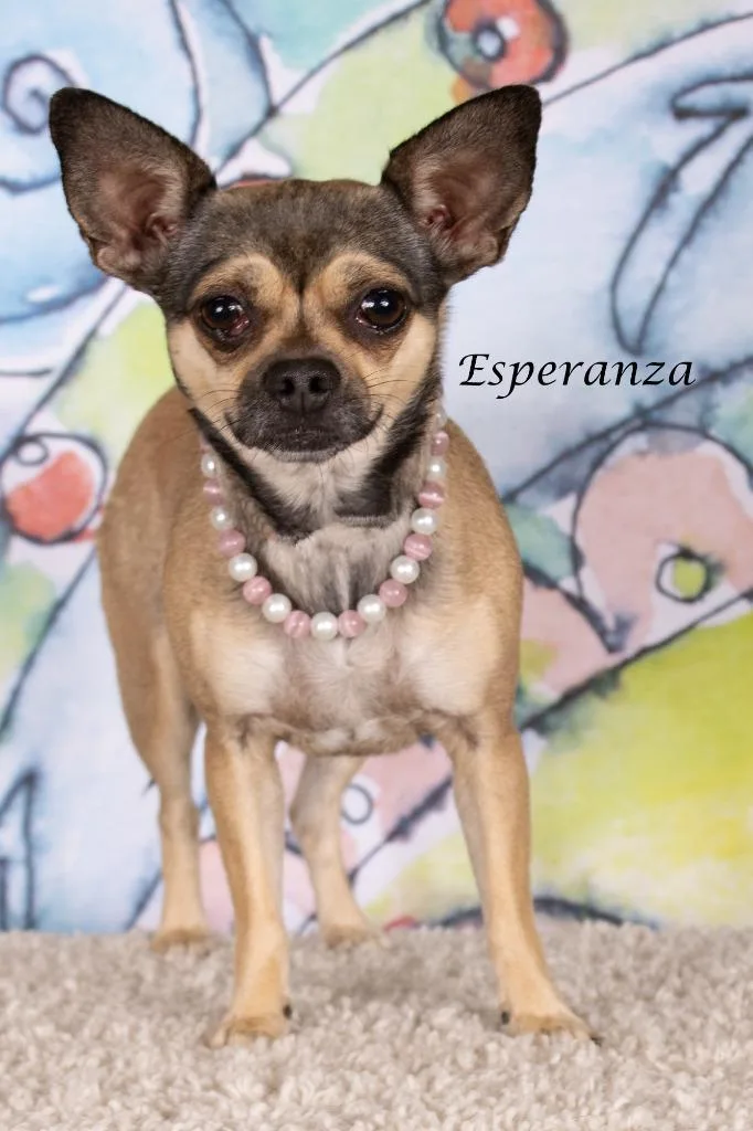 Esperanza thumbnail 2