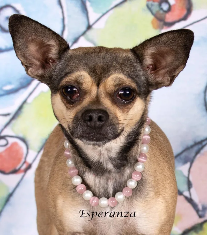 Esperanza thumbnail 3