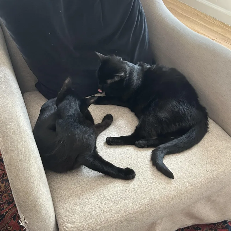 Jasper Friel thumbnail 2