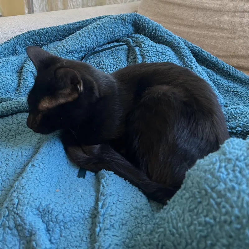 Jasper Friel thumbnail 3