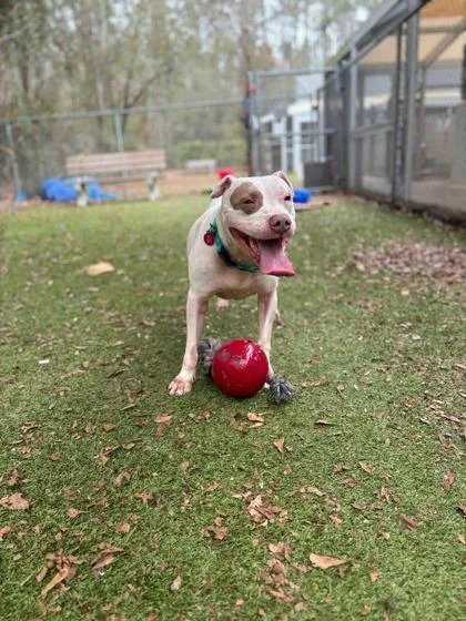 Sara Lee thumbnail 2