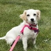 Josephine thumbnail 4