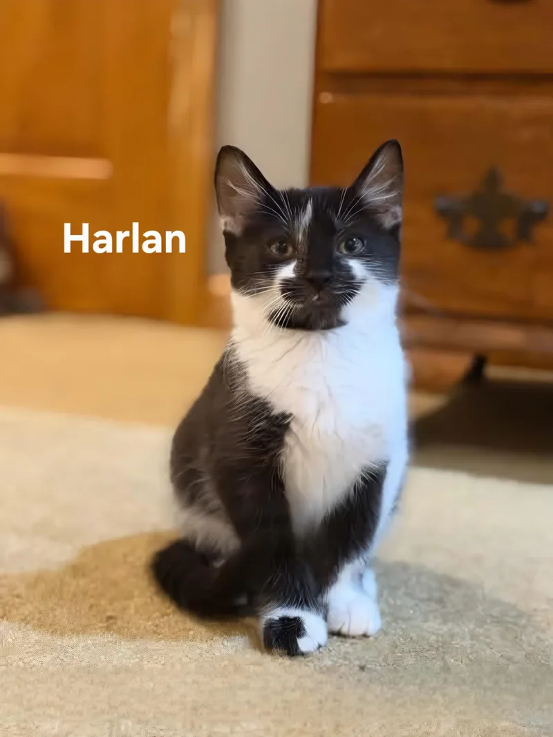 River & Harlan