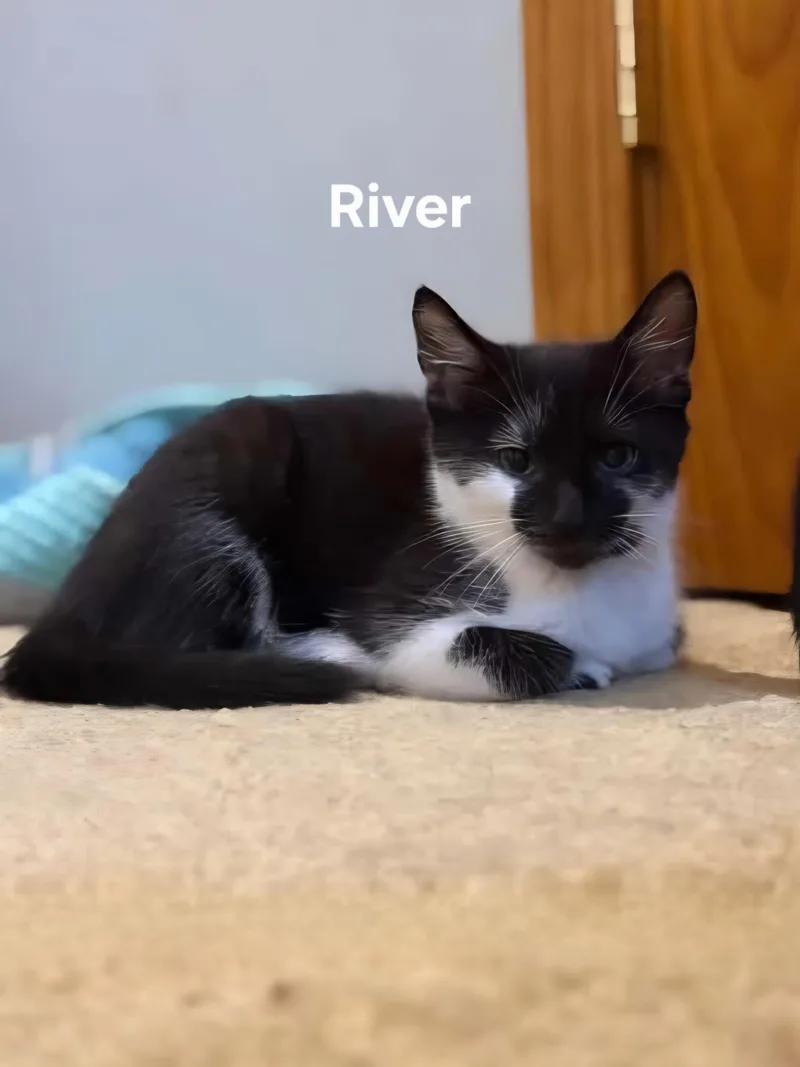 River & Harlan thumbnail 2