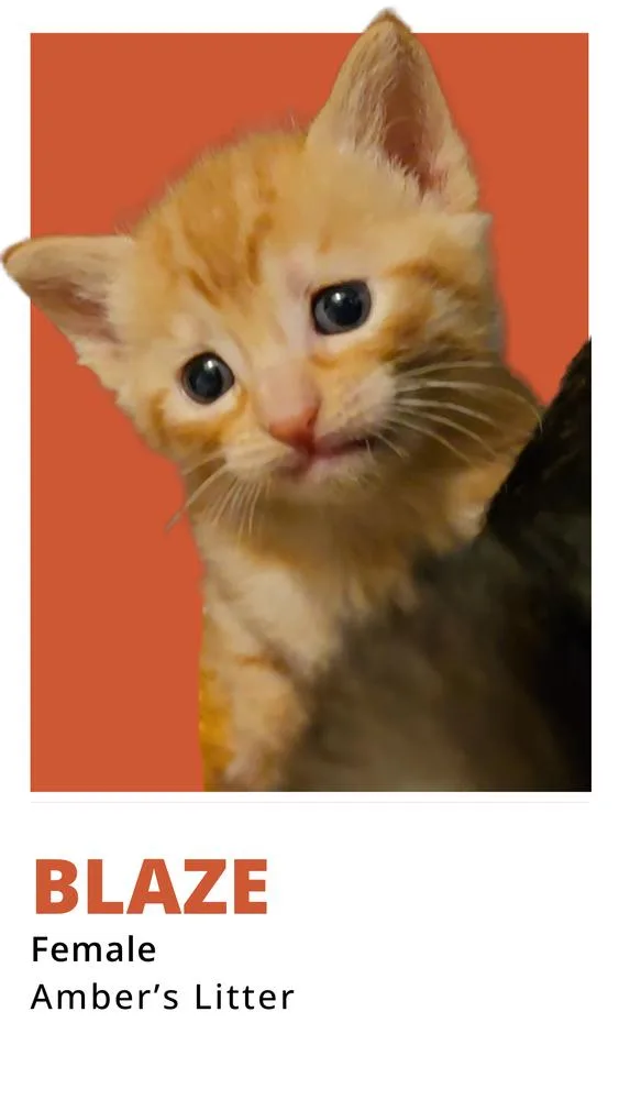 Blaze