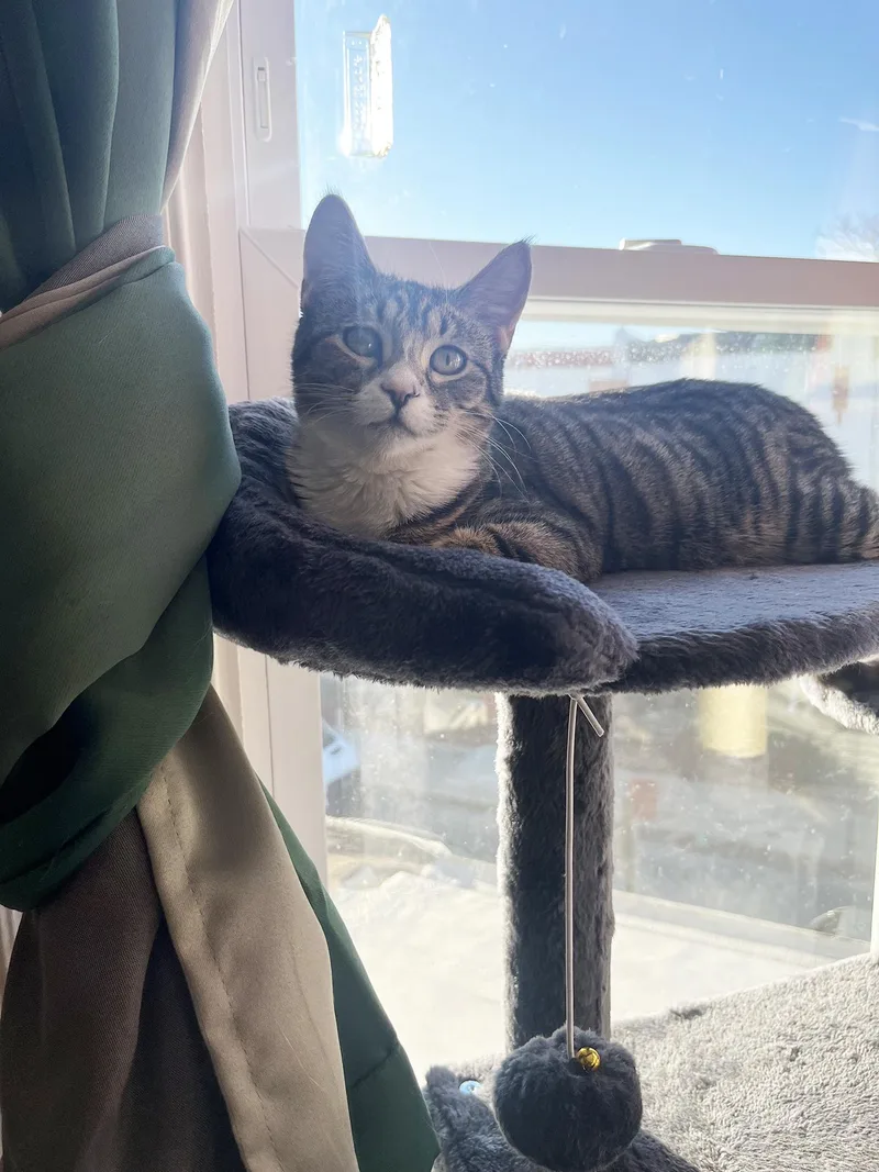 Mercury And Jupiter Millick thumbnail 3