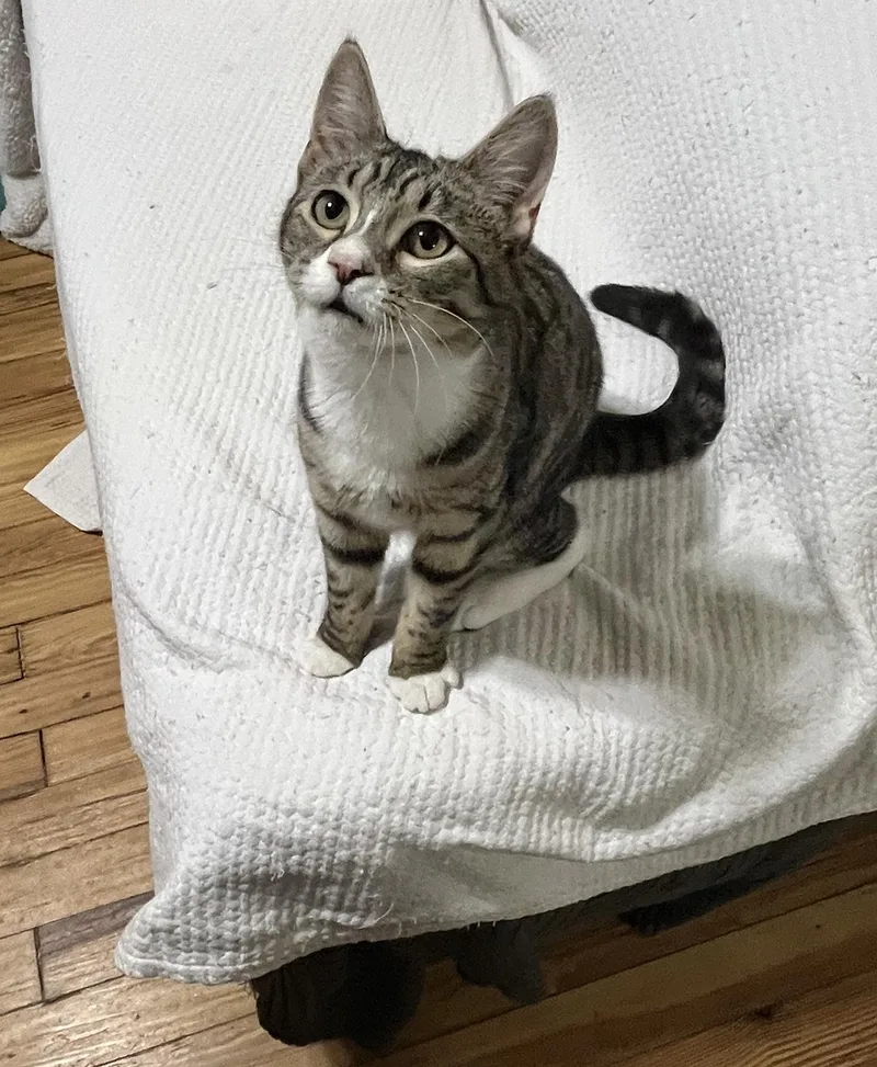 Mercury And Jupiter Millick thumbnail 4