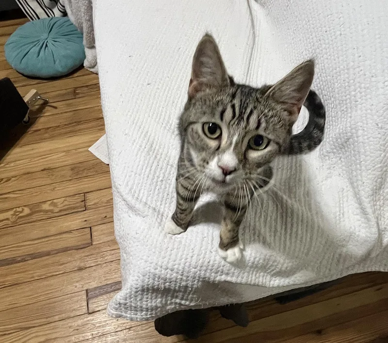 Mercury And Jupiter Millick thumbnail 6