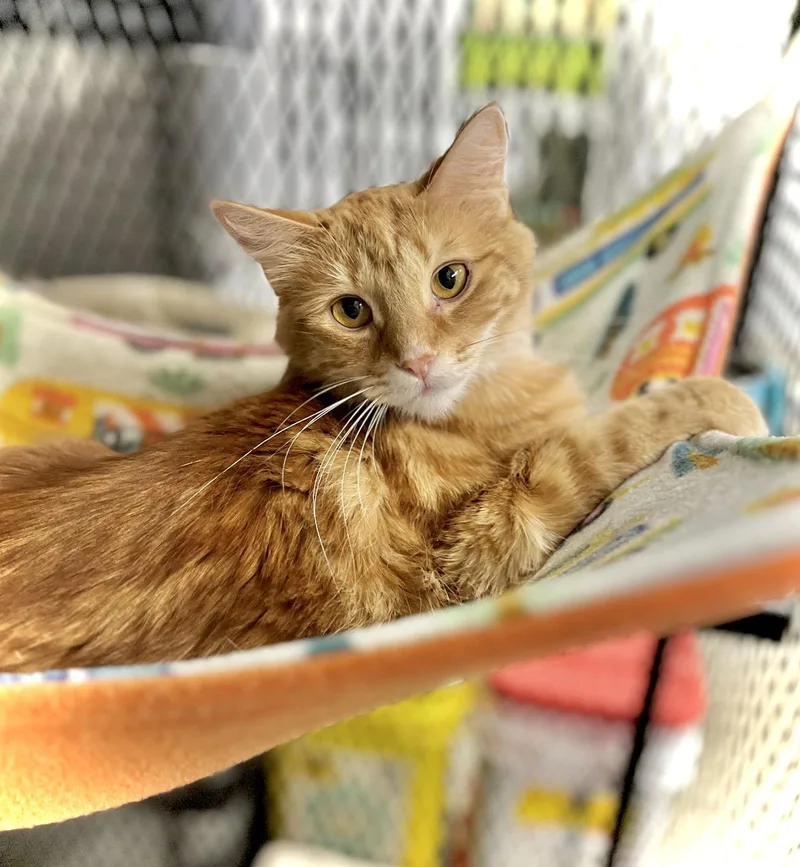 Valencia thumbnail 2