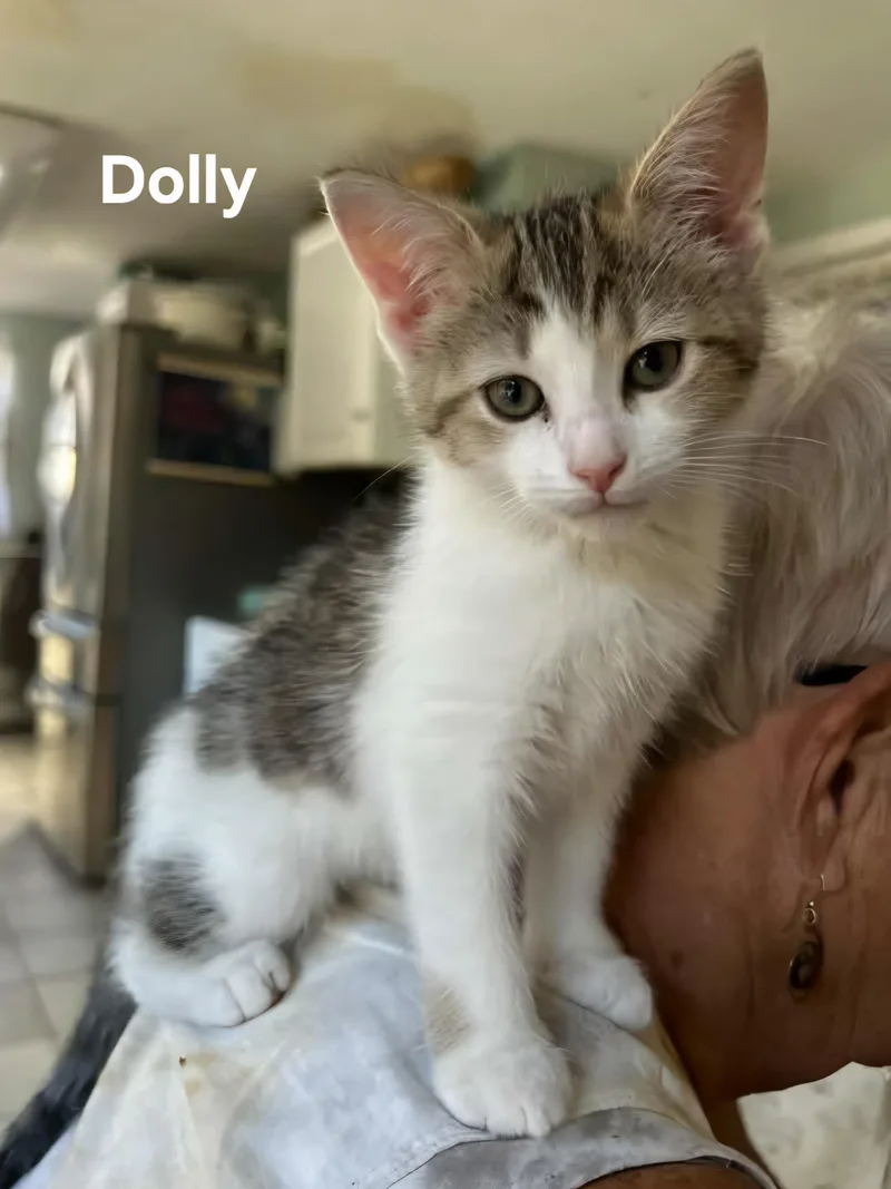 Carrie & Dolly thumbnail 2