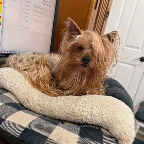 Benjamin thumbnail 2