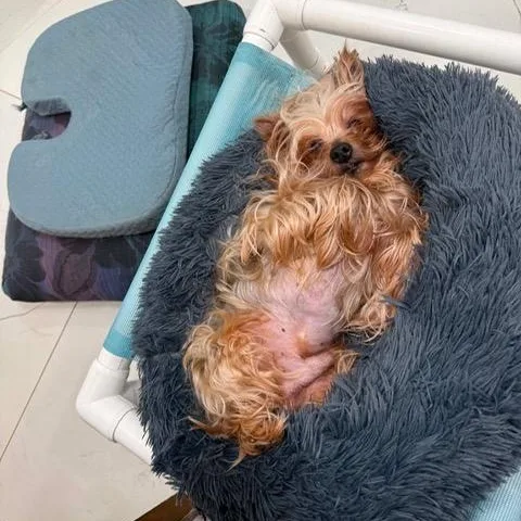 Benjamin thumbnail 3