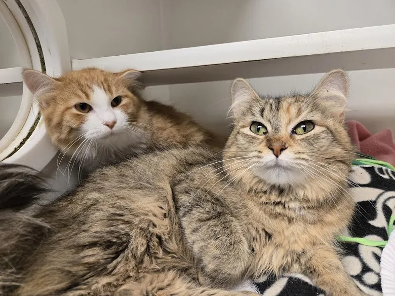 Cara  Jamie  thumbnail 3