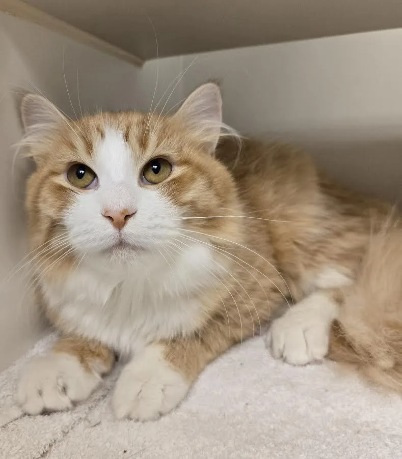 Cara  Jamie  thumbnail 6