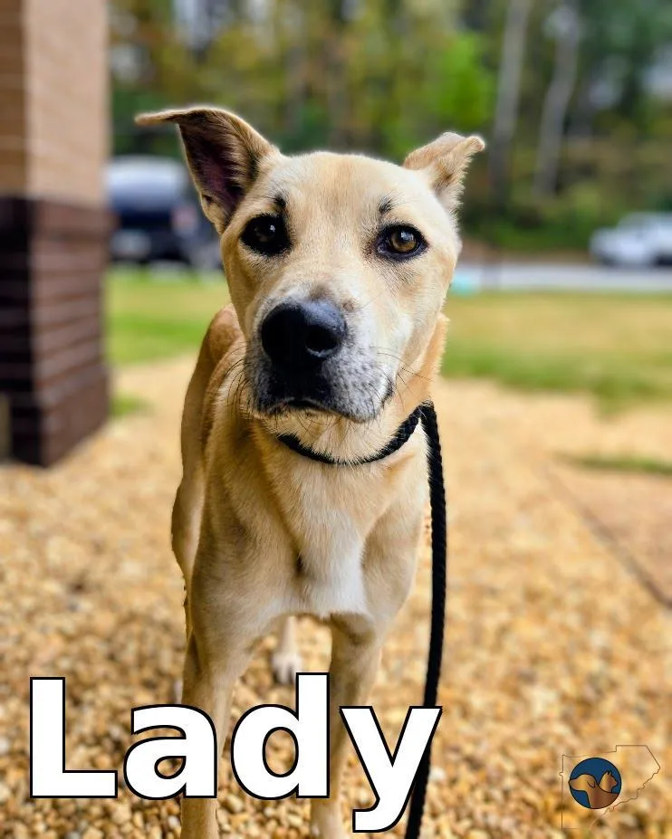 Lady thumbnail 3