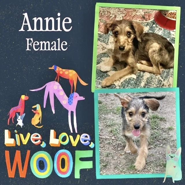 Annie