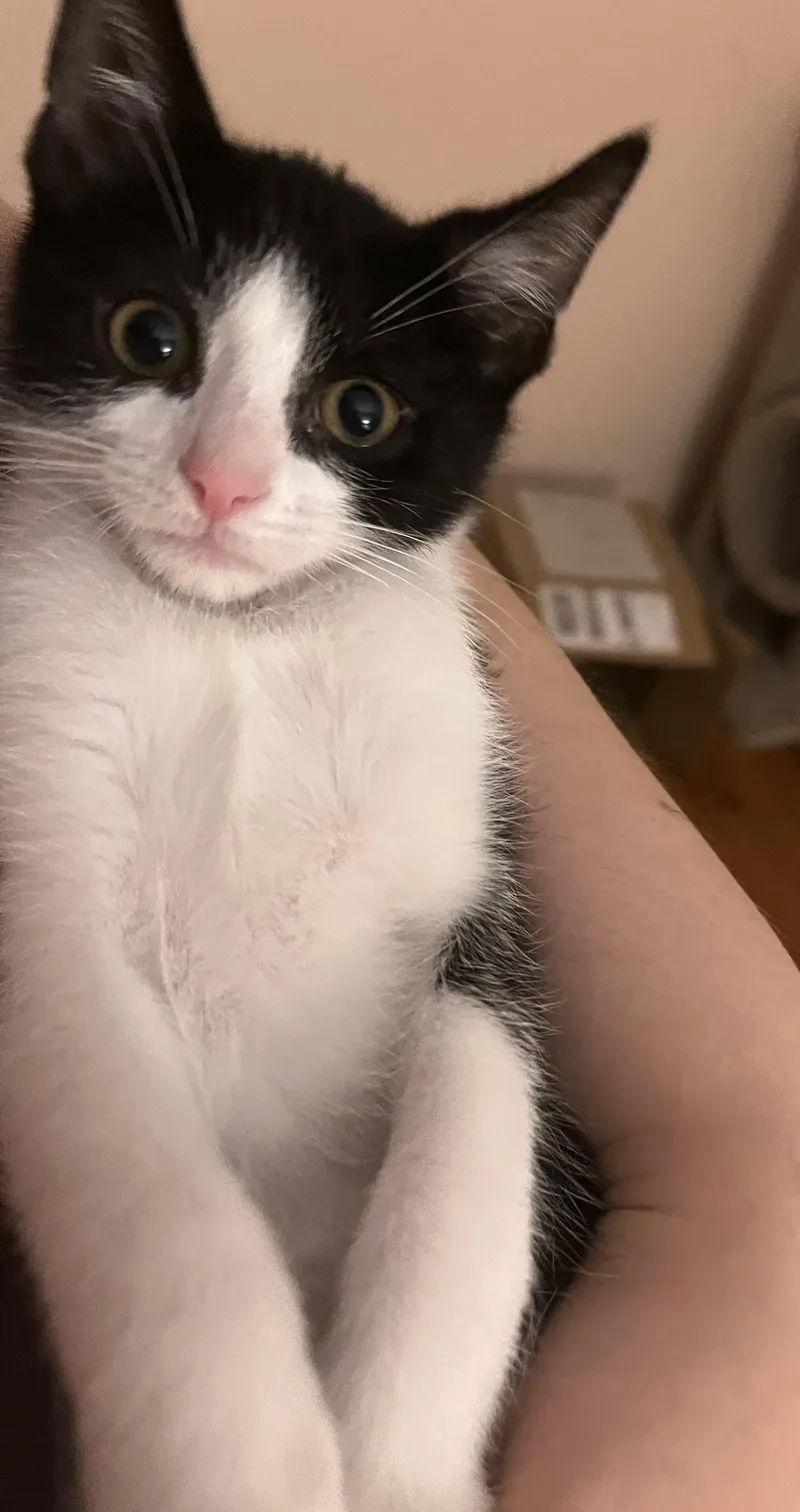 Neiman & Marcus – thumbnail 2