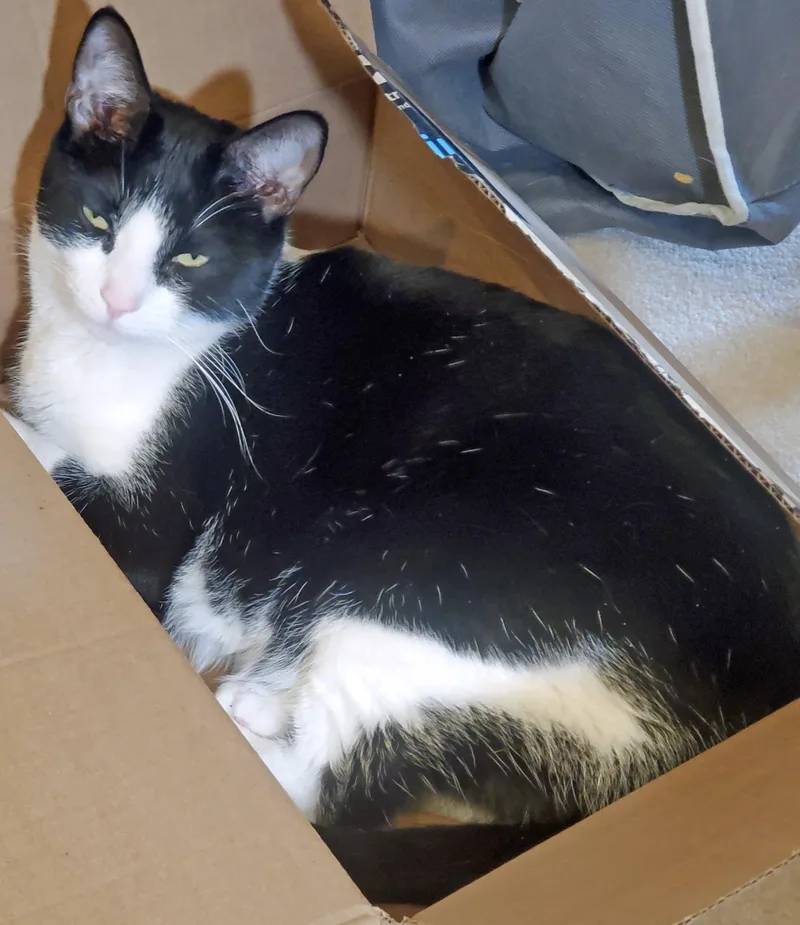 Neiman & Marcus – thumbnail 3