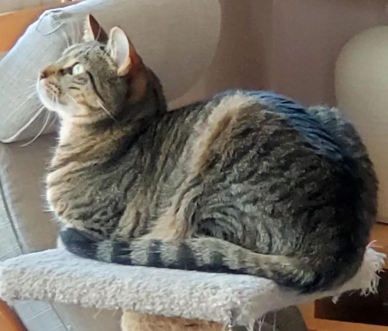 Neiman & Marcus – thumbnail 4