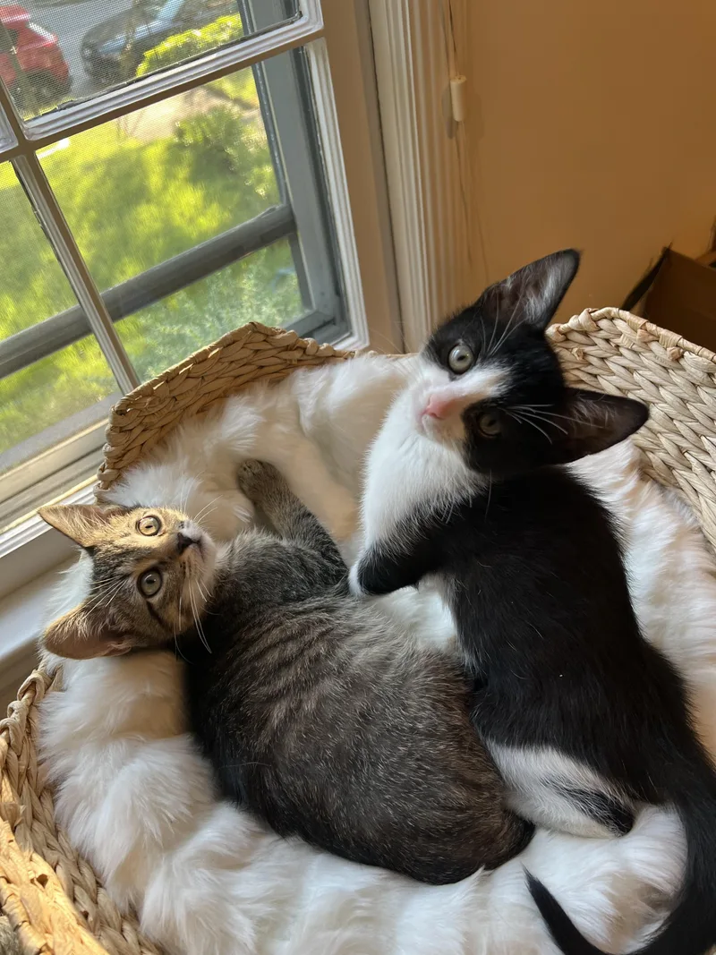 Neiman & Marcus – thumbnail 5