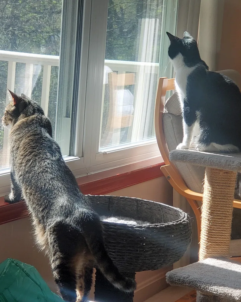 Neiman & Marcus – thumbnail 6