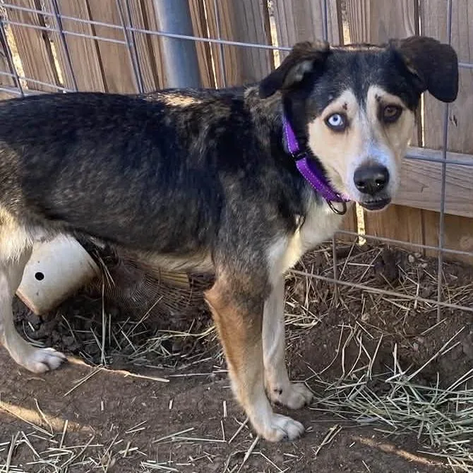 Helene Bw thumbnail 2