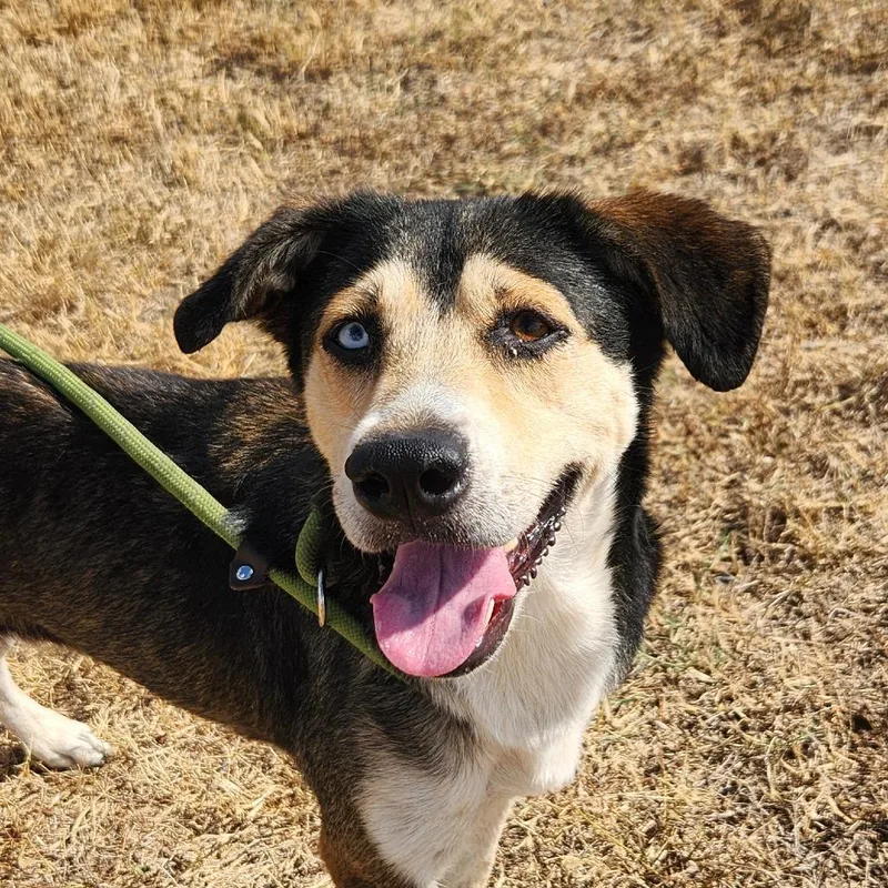 Helene Bw thumbnail 3