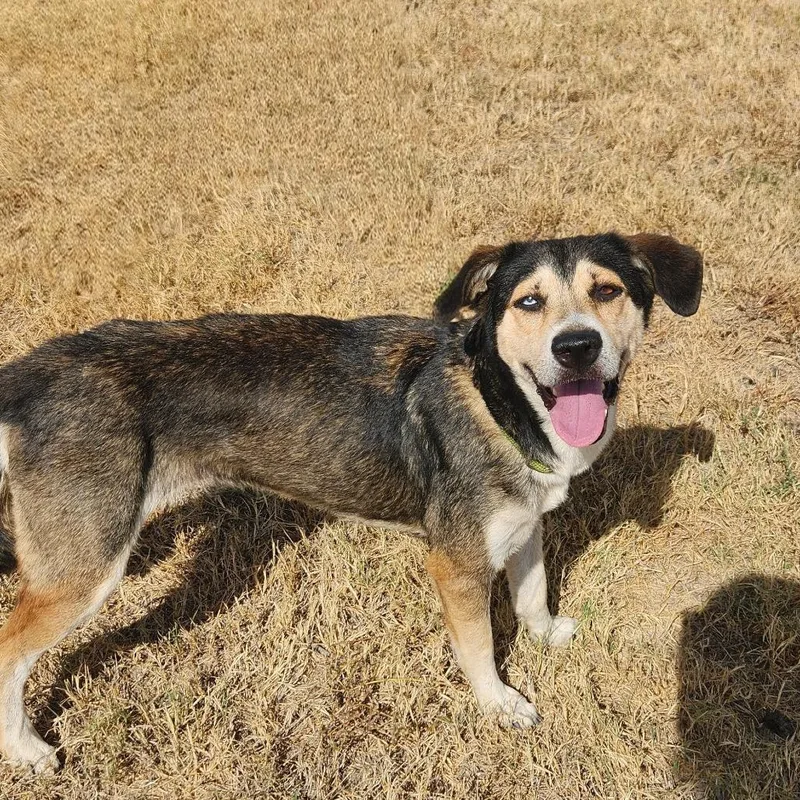 Helene Bw thumbnail 4