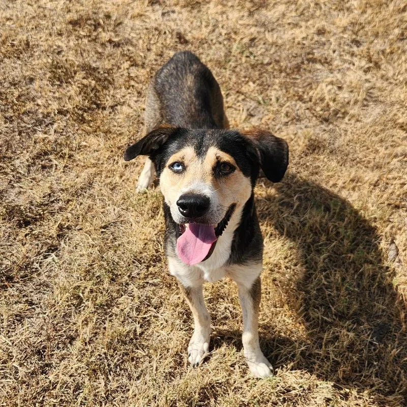 Helene Bw thumbnail 6