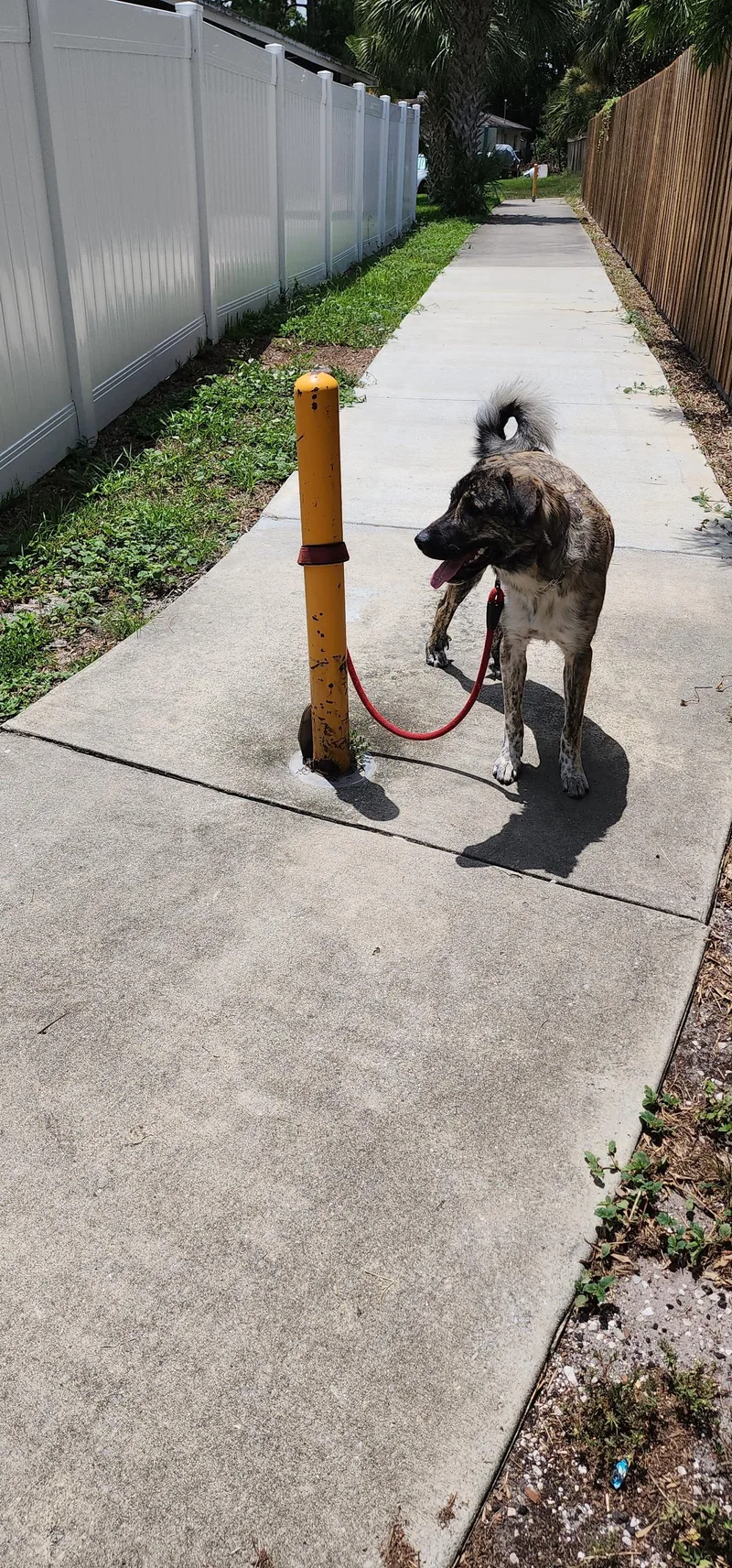 Samantha thumbnail 2