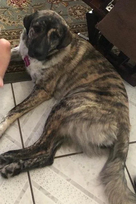 Samantha thumbnail 3