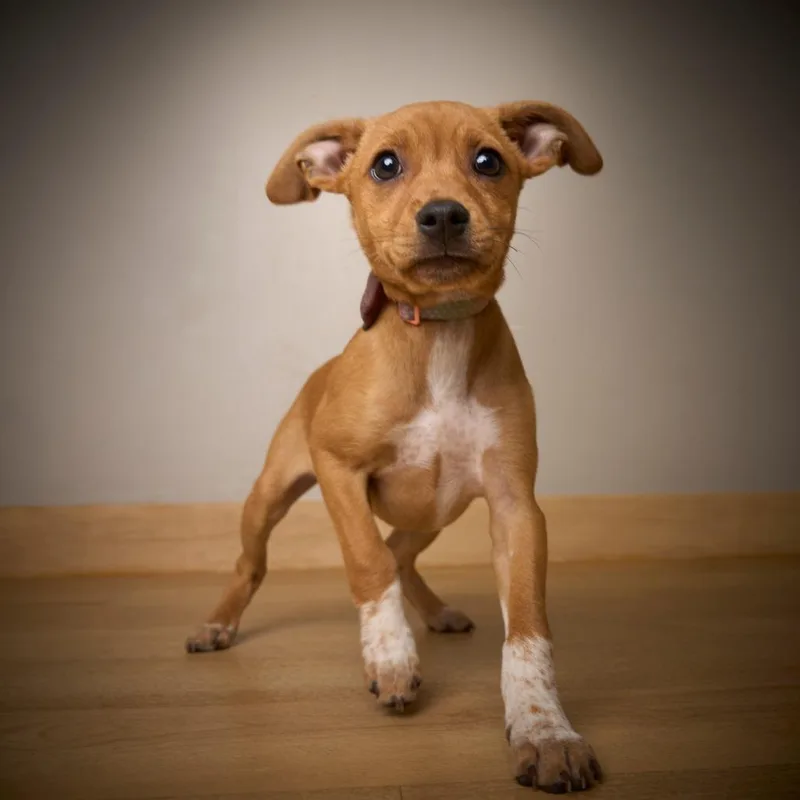 Tipsy Marie D thumbnail 3