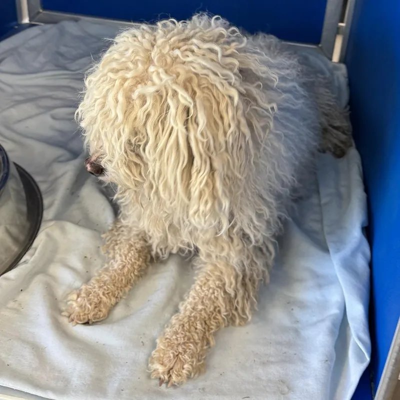 Oliver James thumbnail 3