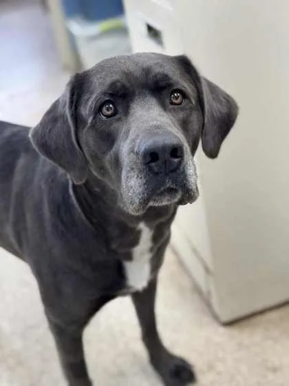 Missy Ann Special Needs thumbnail 4