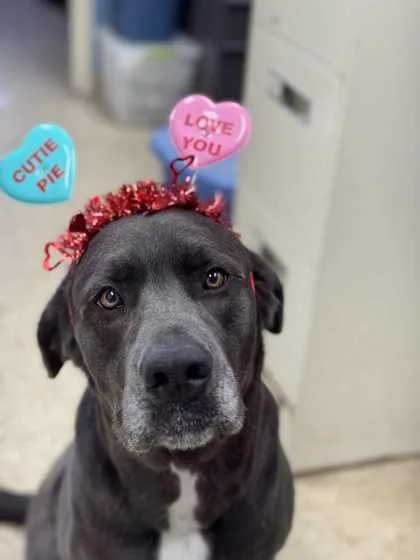 Missy Ann Special Needs thumbnail 5