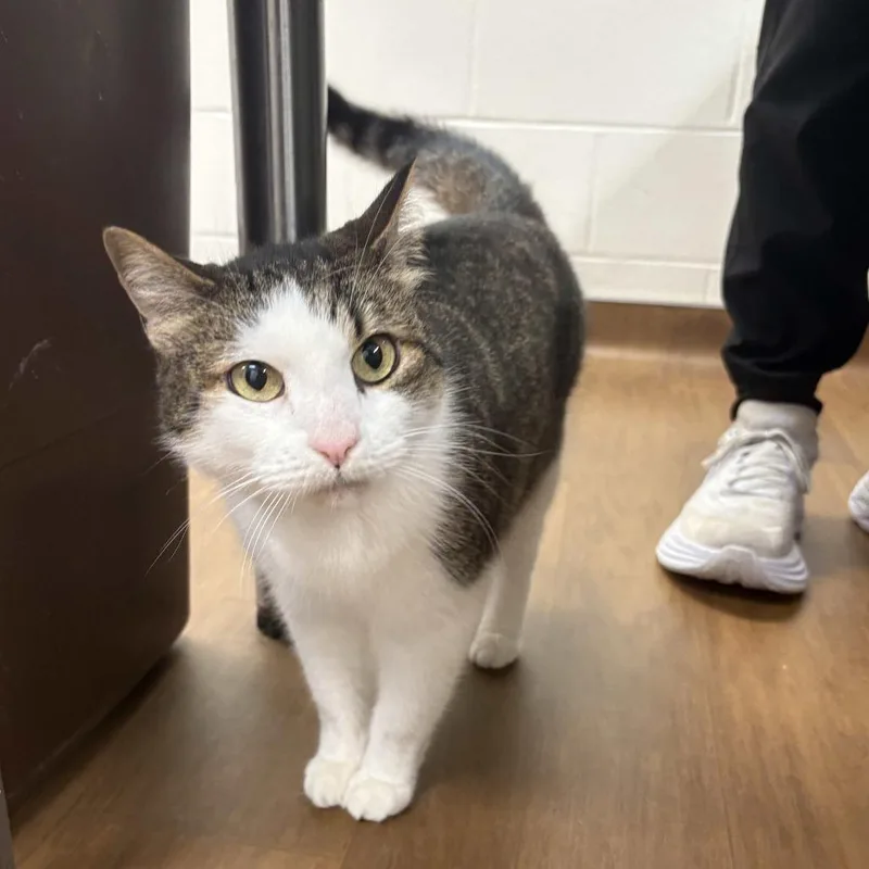 Bernadette thumbnail 3