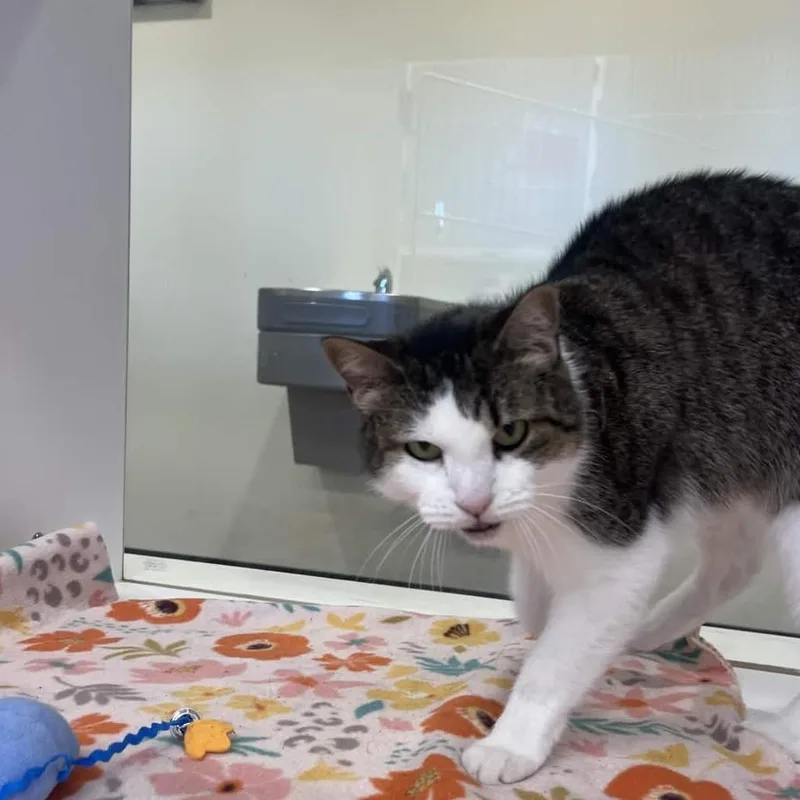 Bernadette thumbnail 4