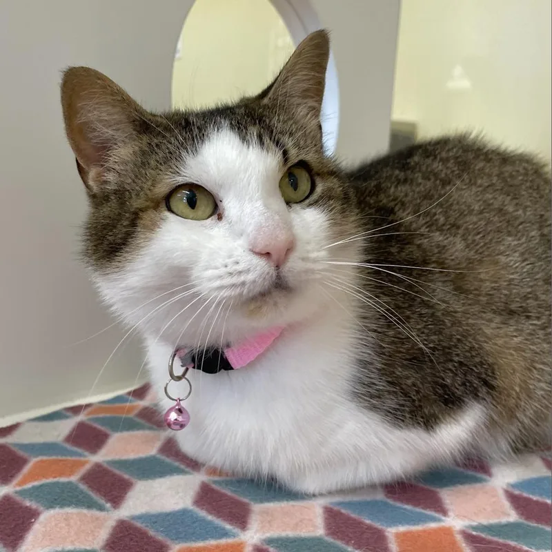 Bernadette thumbnail 5