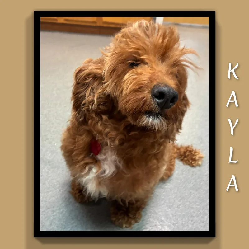 Kayla thumbnail 5