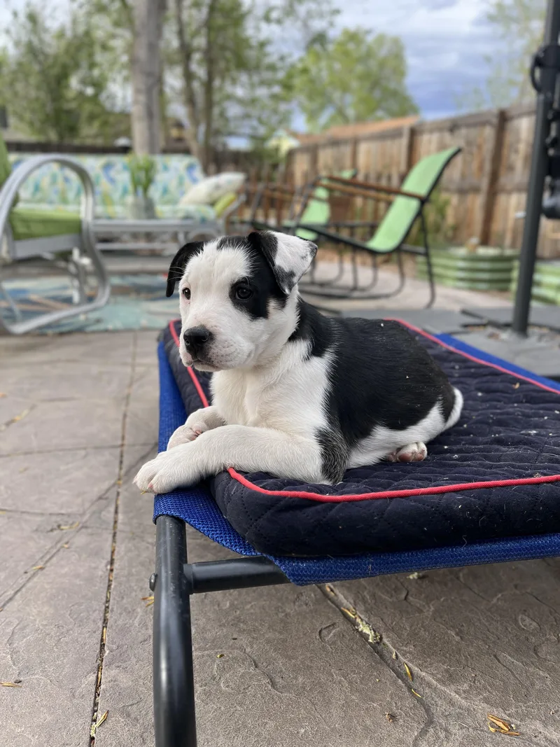 Lanai