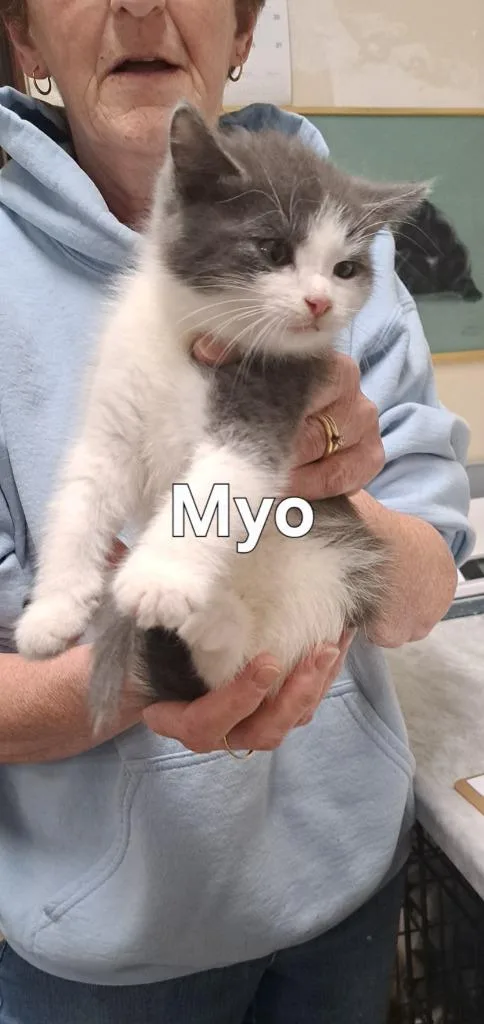 Myo